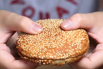 芝麻烧饼做法学习视频97.6M