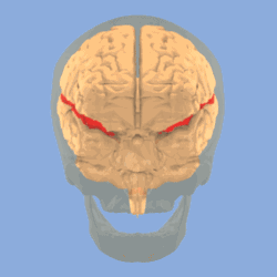 【思维逻辑】说明左脑 感动右脑（视频课程）